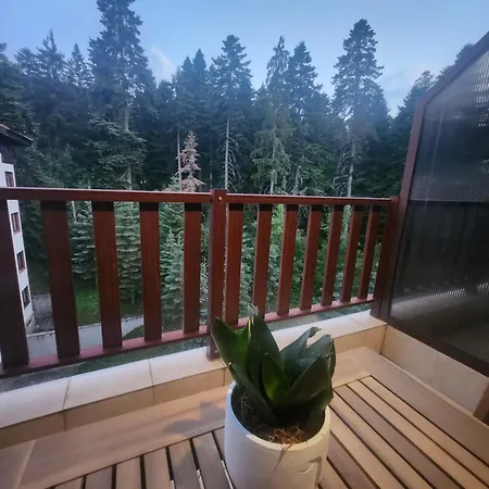 Violet By Slopes بوروفتس