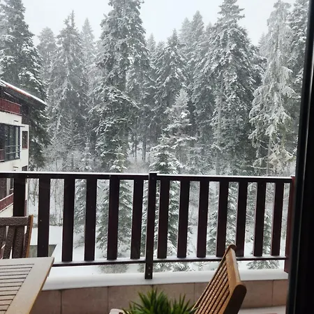 Violet By Slopes * Боровец