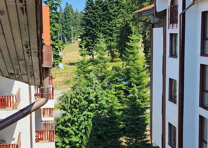 Violet By Slopes 보로베츠