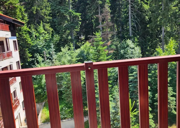 Violet By Slopes 아파트 보로베츠