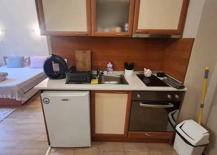 Violet By Slopes 아파트 보로베츠