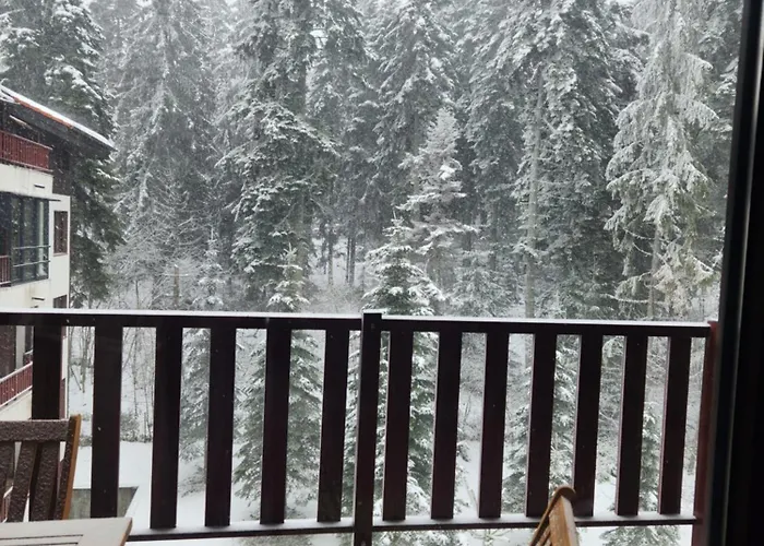 Violet By Slopes * Боровец